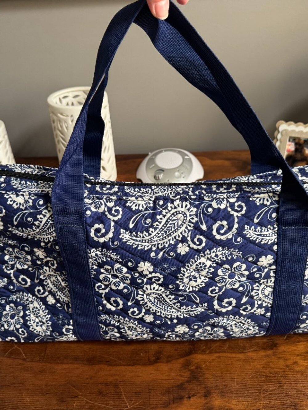 Blue Paisley Carrying Bag